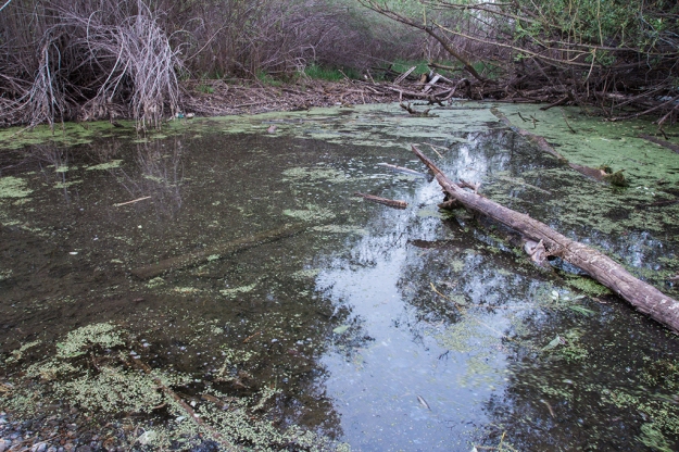 Swampy Pond 5-10-16 8:50 p.m. Rexburg 17mm f/22 3.2 sec Shot with a tripod